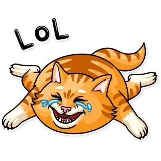 😂 LOL gato, rindo, LOL, engraçado, animal, adesivo telegram sticker