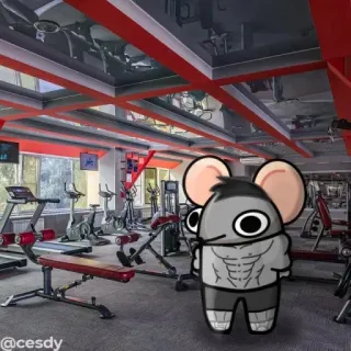 💪 @cesdy 鼠标, 卡通, 健身房, 健身, 锻炼, 健美 telegram sticker
