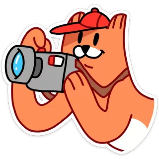 📸 camera, bear, videography, cartoon, sticker, filmmaker telegram sticker