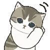 🐱
