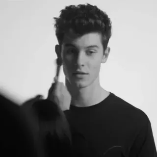 😕 Shawn Mendes Shawn Mendes, celebrity, singer, music, portrait, makeup telegram sticker
