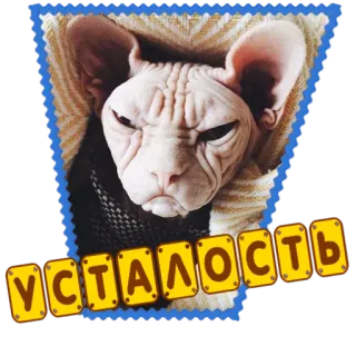 ☹️ УСТАЛОСТЬ cat, sphinx cat, tired, russian, sticker telegram sticker
