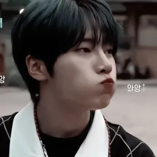 🦊 앙 와앙 coréen, asiatique, mignon, garçon, moue, portrait, expression du visage whatsapp sticker