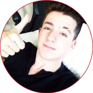 👍 Charlie Puth singer, thumbs up, portrait, celebrity, selfie telegram sticker