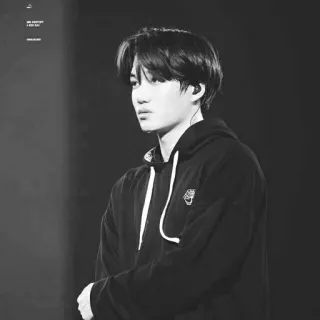 🗝 Kai K-Pop, นักร้อง, ไอดอล, เกาหลี, แฟชั่น, ภาพบุคคล, ผู้ชาย telegram sticker