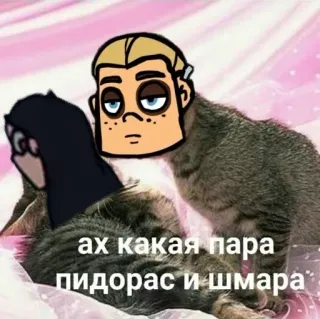 🥺 ах какая пара пидорас и шмара mèo, xúc phạm, hoạt hình, meme telegram sticker