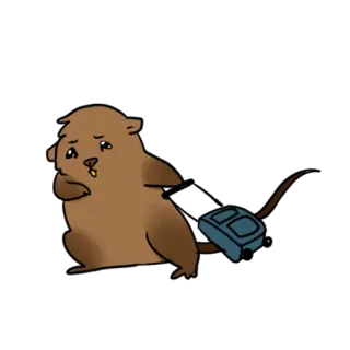 😠 berang-berang, sedih, binatang, kartun, stiker whatsapp sticker