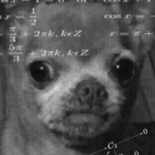 🙄 chihuahua, pies, zwierzę domowe, zwierzę, matematyka, równania telegram sticker