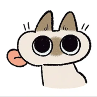 😛 cat, cute, animal, pet, sticker telegram sticker