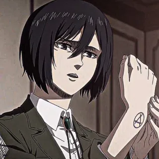 ❕ Mikasa Attack on Titan 动漫, 进击的巨人, 三笠·阿克曼, 调查兵团, AOT, 动漫女孩 telegram sticker