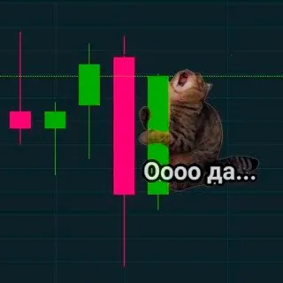 🔥 cat Оооо да... whatsapp sticker