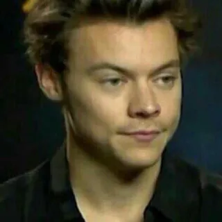 😑 Harry Styles harry styles, singer, celebrity, one direction, musician telegram sticker