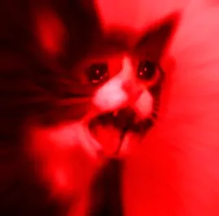😡 gato, llorando, meme, animal, rojo, angustiado telegram sticker