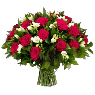 🌸 flowers, roses, bouquet, red, white, floral arrangement whatsapp sticker