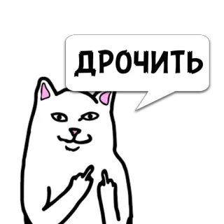 😼 ДРОЧИТЬ 고양이, 가운데 손가락, 무례한, 불쾌한, 스티커, 흰 고양이, 밈 telegram sticker