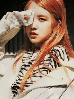 🥂 Rose kpop, rose, blackpink, zanger, idool, beroemdheid whatsapp sticker