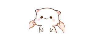 😄 แมว, น่ารัก, น่าเอ็นดู, สัตว์เลี้ยง, สัตว์, การ์ตูน, คาวาอิ telegram sticker