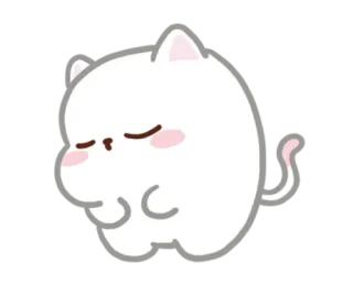 ☺️ Katze, Kätzchen, Tier, süß, weiß, schläfrig telegram sticker