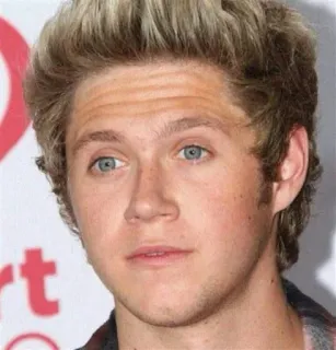 😳 Niall Horan celebridad, cantante, retrato, One Direction, estrella pop telegram sticker
