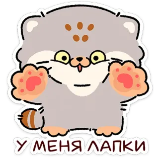 😼 У МЕНЯ ЛАПКИ cat, cute, paws, meme, cartoon, animal, kawaii telegram sticker