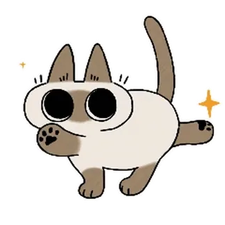 ✨ chat, animal, autocollant, dessin animé, animal de compagnie, drôle whatsapp sticker