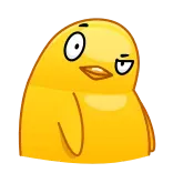 🐤