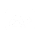 🐢
