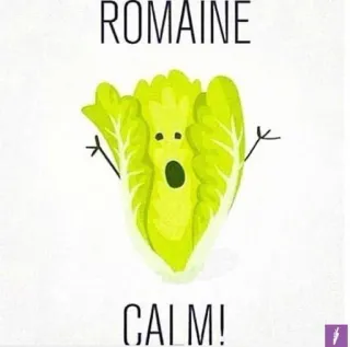 😇 ROMAINE
CALM! Wortspiel, Essen, Römersalat, ruhig, Gemüse, Witz whatsapp sticker