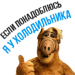 🍳 ALF ЕСЛИ ПОНАДОБЛЮСЬ Я У ХОЛОДИЛЬНИКА ALF, russo, série de TV, anos 80, alienígena, humor telegram sticker