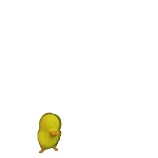 🙁 duck, yellow, animal, bird telegram sticker