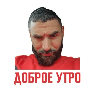 SENKO¿ telegram stickers