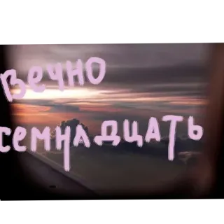 🖼 вечно семнадцать whatsapp sticker