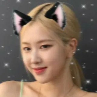 🌸 Rose donna, orecchie da gatto, brillantini, ritratto, k-pop, cantante whatsapp sticker