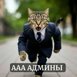 😨 AAA АДМИНЫ telegram sticker