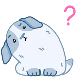 ❓ 강아지, 질문, 귀여운, 개, 동물, 스티커 telegram sticker