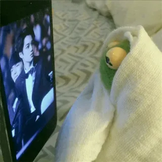 😧 Kermit Kermit la rana, asciugamano, telefono, intrattenimento, meme whatsapp sticker
