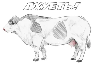@cowslife telegram stickers