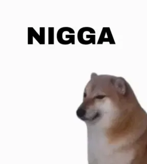 😑 NIGGA 개, 불쾌한, 밈 telegram sticker