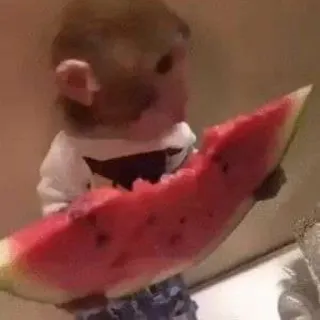 🙈 child, baby, watermelon, eating, food telegram sticker
