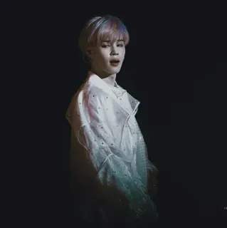 ✨ Jimin kpop, jimin, bts, piosenkarz, idol, koreański, pop telegram sticker