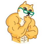 🤔 doge, hond, gespierd, spieren, meme, sterk, bril whatsapp sticker