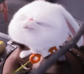 🐰 Snowball The Secret Life of Pets coelho, animal, desenho animado, branco whatsapp sticker