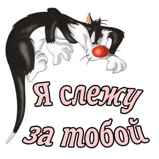 😏 Я слежу за тобой kot, kreskówka, słodki, zwierzę, rosyjski, tekst telegram sticker