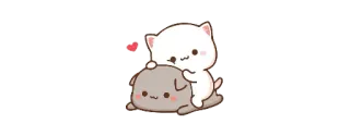 😇 猫, 犬, 可愛い, 愛, ハート telegram sticker