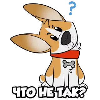 👀 ЧТО НЕ ТАК? chó, dấu chấm hỏi, bối rối, động vật, hoạt hình, nhãn dán telegram sticker