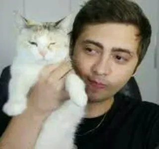 🐱 gato, homem, animal de estimação, pessoa, animal, animal doméstico telegram sticker