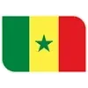 🇸🇳