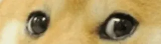 😂 Doge, Perro, Meme, Ojos, Shiba Inu, Animal whatsapp sticker
