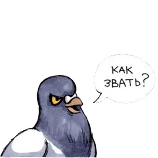 😑 КАК ЗВАТЬ? oiseau, pigeon, question, dessin animé, animal whatsapp sticker