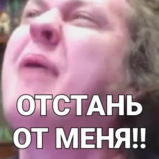 😖 ОТСТАНЬ
ОТ МЕНЯ!! Meme, Gesichtsausdruck, Gesicht, Russisch telegram sticker